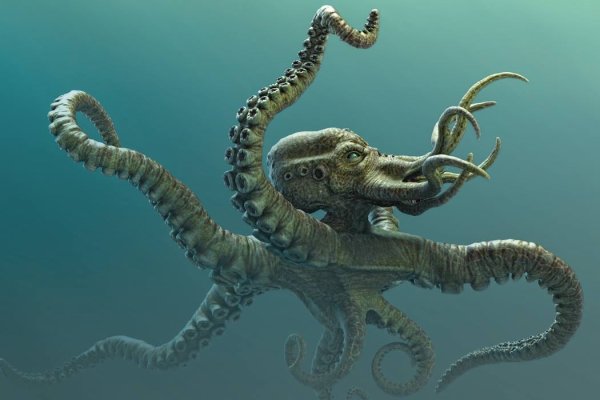 Kraken зеркала gigageek ru