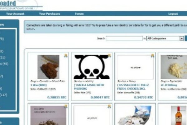 Kraken 25 at
